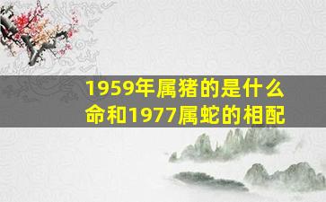 1959年属猪的是什么命和1977属蛇的相配