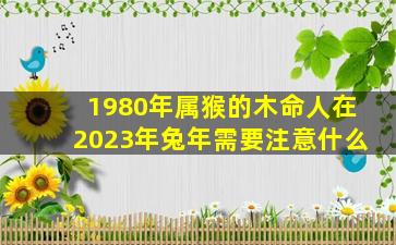 1980年属猴的木命人在2023年兔年需要注意什么