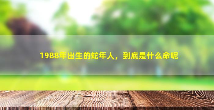 1988年出生的蛇年人，到底是什么命呢