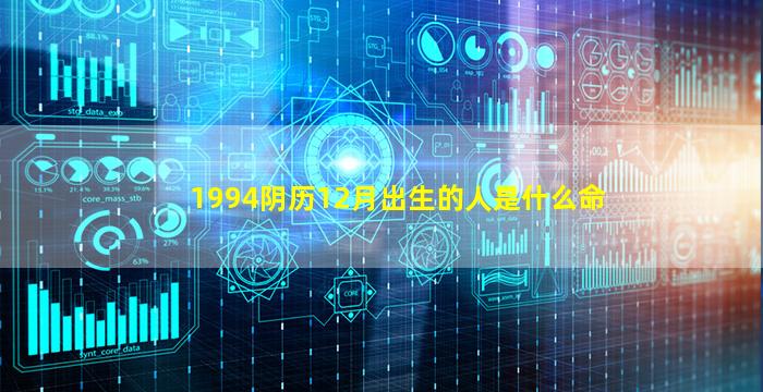 1994阴历12月出生的人是什么命