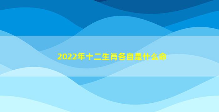 2022年十二生肖各自是什么命