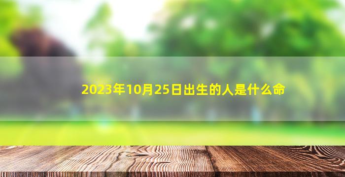 2023年10月25日出生的人是什么命