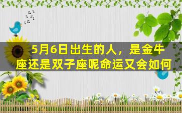 5月6日出生的人，是金牛座还是双子座呢命运又会如何