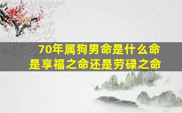 70年属狗男命是什么命是享福之命还是劳碌之命