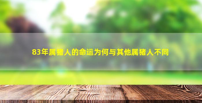 83年属猪人的命运为何与其他属猪人不同