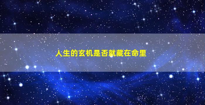 人生的玄机是否就藏在命里