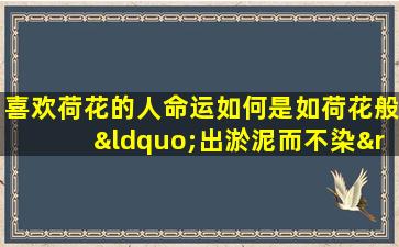 喜欢荷花的人命运如何是如荷花般“出淤泥而不染”，还是……