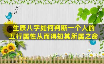 生辰八字如何判断一个人的五行属性从而得知其所属之命