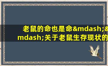 老鼠的命也是命——关于老鼠生存现状的思考