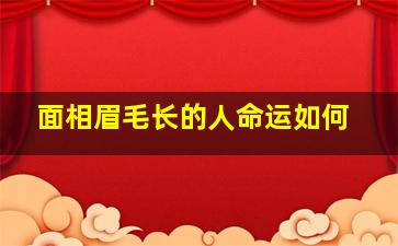 面相眉毛长的人命运如何